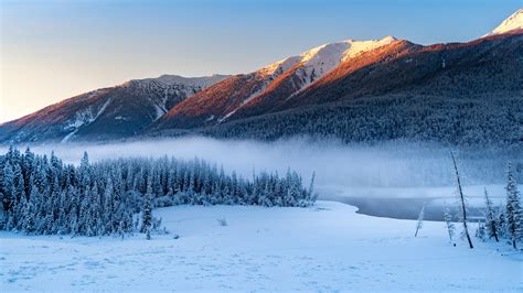 Forest Snowy Winter Mountains Wallpaper, HD Nature 4K Wallpapers, Images and Background ...