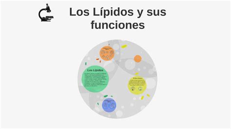 Los Lípidos y sus funciones by Vanessa Flores on Prezi