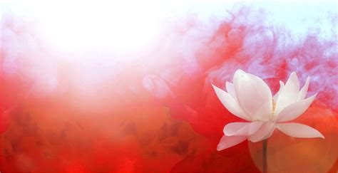 🔥 [69+] Lotus Flower Backgrounds | WallpaperSafari