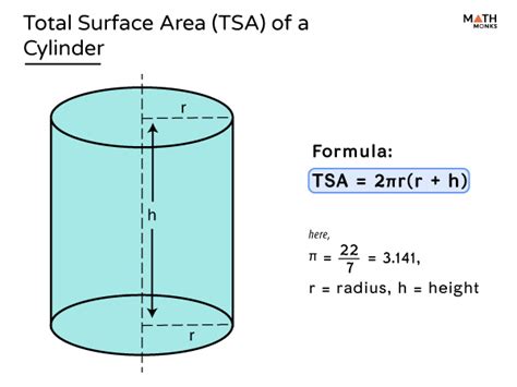 Surface Area of a Cylinder - Definition, Formulas, & Examples