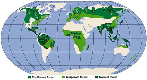 Where are the world's forests?