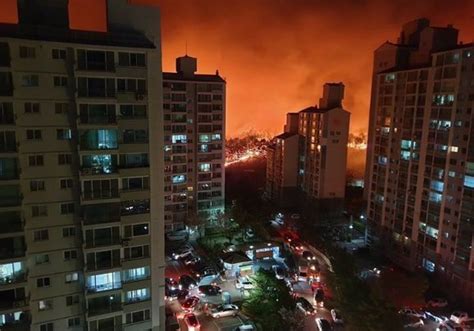 South Korea Wildfire – “National Emergency” – Thousands Evacuated – Statesman Times