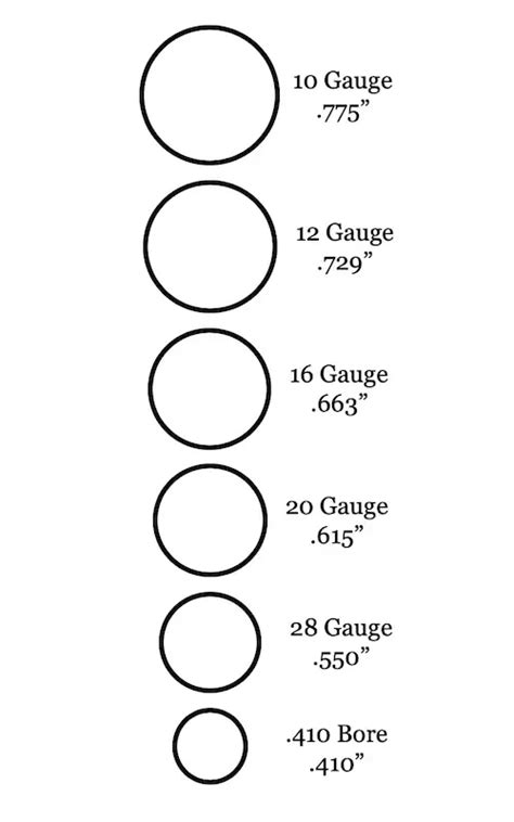 Shotgun Gauges Explained: 10 vs 12 vs 16 vs 20 vs 28 vs 410