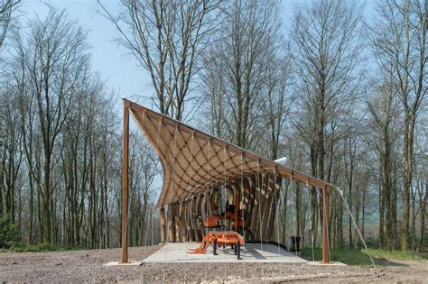 AA Design & Make students test the limits of timber in tensile woodland canopy - architecture ...