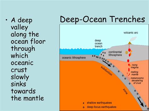 Deep Ocean Trench Diagram