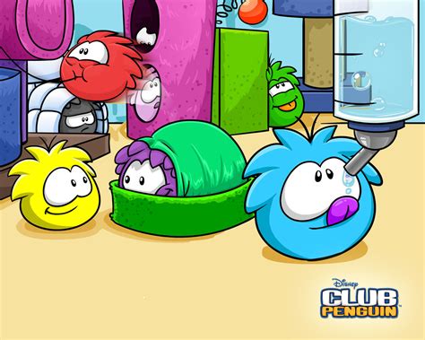 puffles - Club Penguin Photo (14810010) - Fanpop