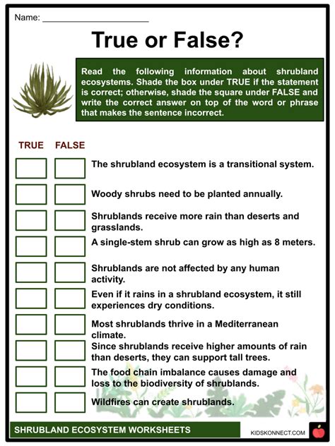 Shrubland Ecosystem Worksheets | Features, Examples, Plants