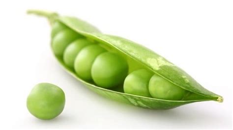 Pea Protein vs Soy Protein - What Are the Differences and Which is Better?