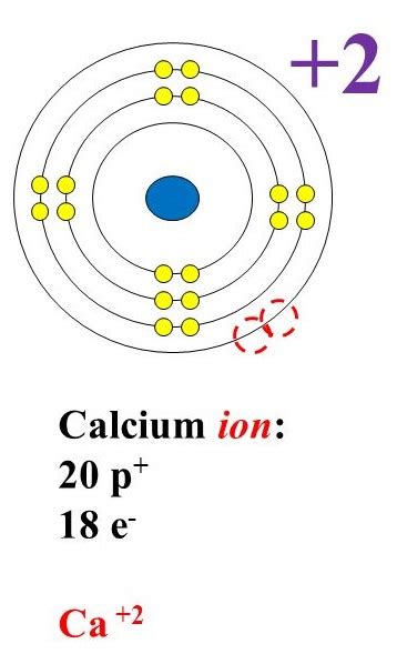 Calcium Ion Lewis Dot Structure