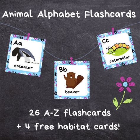 an animal alphabet flashcards on a chalkboard