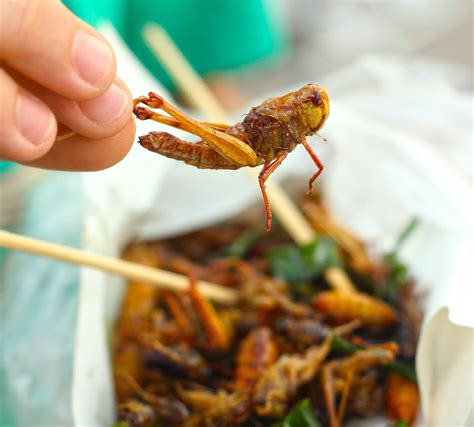 10 Best Edible Insects We Dare You To Try - Farmers' Almanac - Plan Your Day. Grow Your Life.