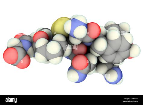 Oxytocin structure hi-res stock photography and images - Alamy