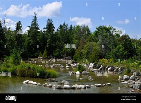 Trout habitat hi-res stock photography and images - Alamy