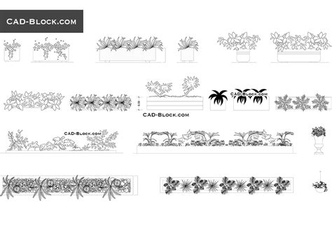 Cad Blocks Plants Elevation