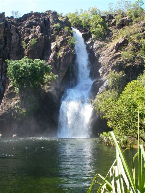 One of Darwin's tranquil waterfalls http://tinyurl.com/7lv9z4c | Waterfall, Tranquility, Outdoor