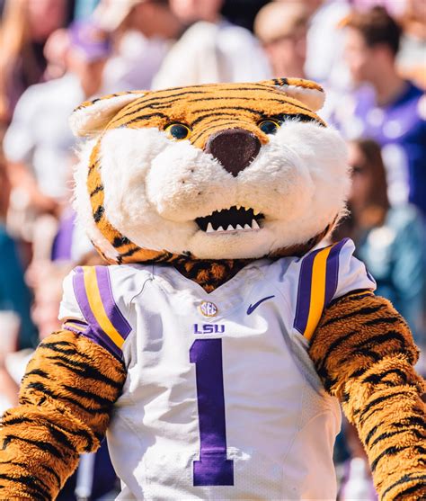 LSU Mascot: The History Behind Mike the Tiger? - EducationWeb