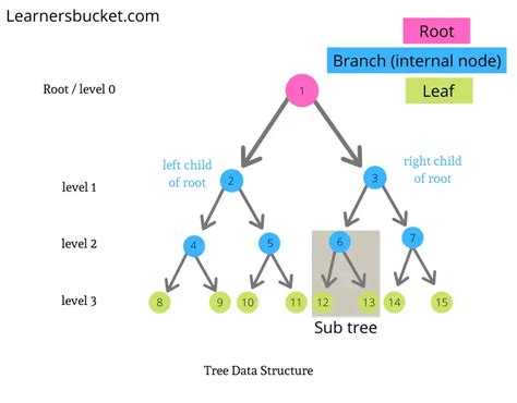 Find height and width of binary tree - LearnersBucket