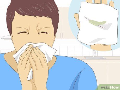 3 Ways to Diagnose Lung Problems - wikiHow Health