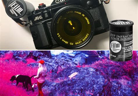 Infrared Film Photography - IR Film How To, Tips & Filters - The Darkroom