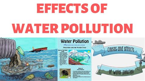 Effects of Water Pollution on Human/Animal Health | BOD, COD, Ground Water Pollution - YouTube