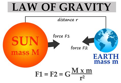 The Law of Gravity - KidsPressMagazine.com