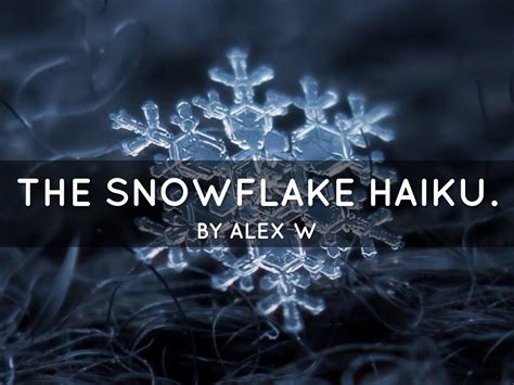 Snowflake Haiku By Alex W by Kacie Germadnik