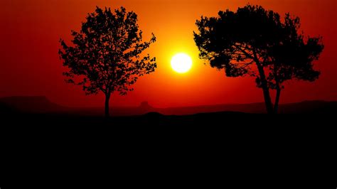 Download Sunset, Trees, Silhouette. Royalty-Free Stock Illustration Image - Pixabay