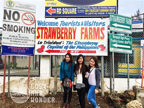 Strawberry Farm Baguio: Travel Guide - Lost and Wonder