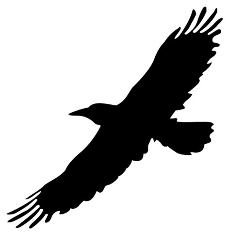 Eagle In Flight Silhouette at GetDrawings | Free download