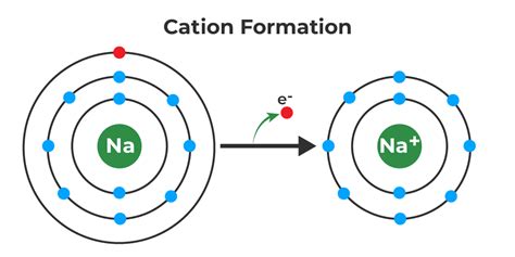 Cation And Anion