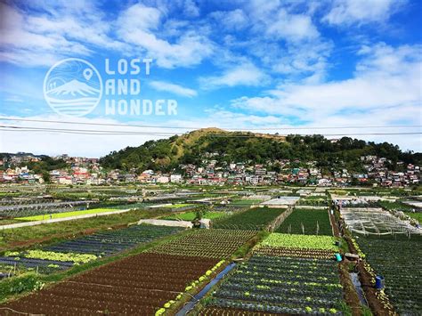 Strawberry Farm Baguio: Travel Guide - Lost and Wonder