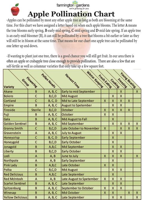 Pink Lady Apple Tree Pollination Chart | Printable Templates Free