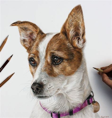 Realistic Pencil Dog Drawing