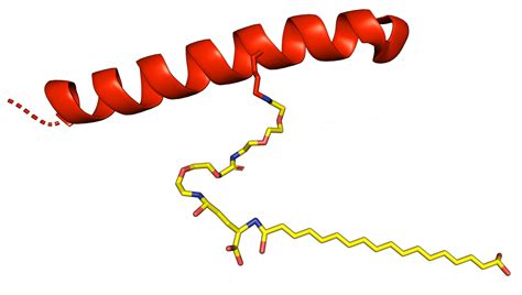 Semaglutide Fact Sheet | Space Peptides