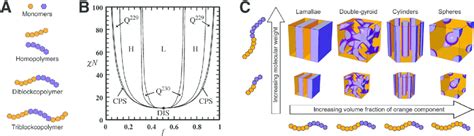 (A) Block copolymer system building blocks. (B) Theoretical phase... | Download Scientific Diagram