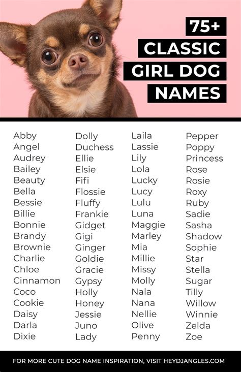 75+ Classic Girl Dog Names for Timeless Puppers - Hey, Djangles. | Girl dog names, Girl dog ...