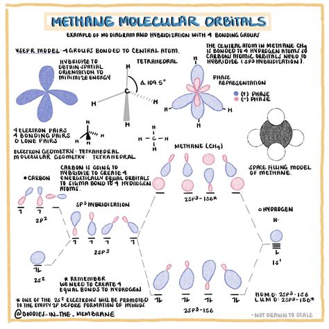 Molecular Orbital Diagram of Methane: Organic Chemistry Educational Resources | Organic ...