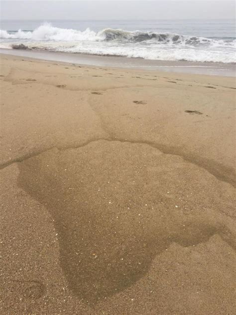 What’s the funky brown sea foam washing up along the O.C. coast? – Orange County Register