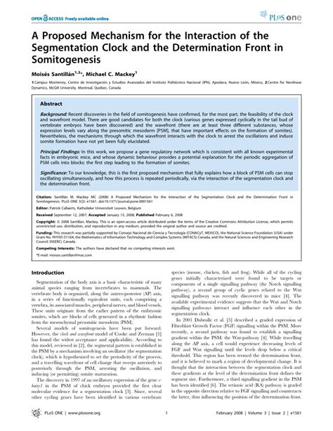 (PDF) A Proposed Mechanism for the Interaction of the Segmentation Clock and the Determination ...