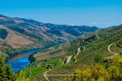 Duero viñatero o Douro vinhateiro | Turismo en Portugal