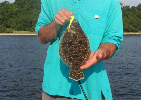 Flounder Fishing For Beginners | FishTalk Magazine