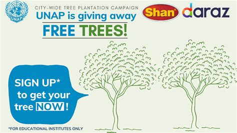 Tree Plantation Campaign – UNAP