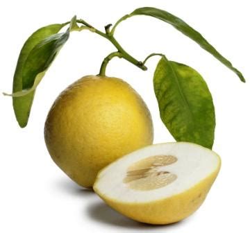 Citron Fruit: Citrus medica Uses, Dose, Research, Side Effects