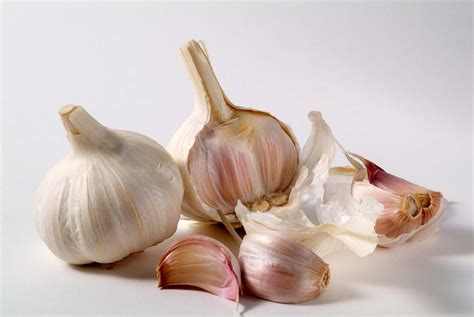 Garlic | Culinary Uses, Health Benefits, Allium Sativum | Britannica