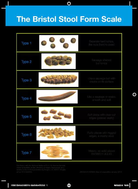 Bristol Stool Chart: The Different Types Of Poop GoodRx, 52% OFF