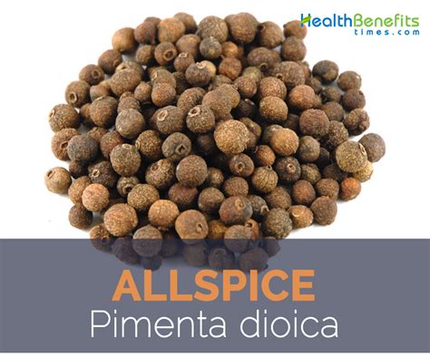 Allspice facts and health benefits