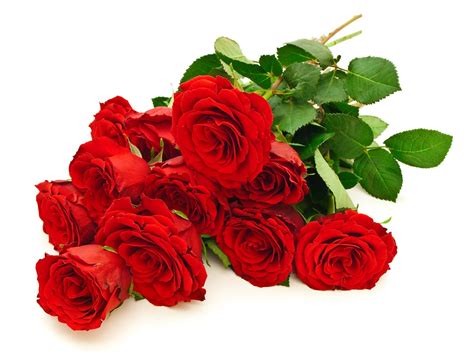 Fotos De Flores Rosas Rojas Y Arreglos Florales