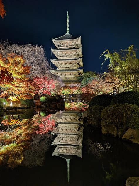 Toji temple during night - November 2022 : r/japanpics