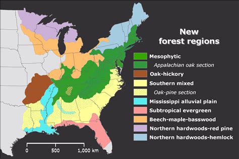 Eastern Deciduous Forest map (Dyer 2006) | Forest map, Temperate rainforest, Forest