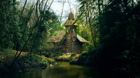 Wooden cottage in a deep forest - backiee